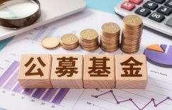公募基金