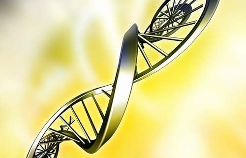 合成生物