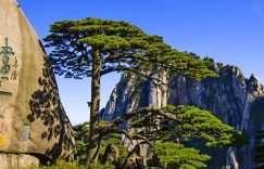 黄山