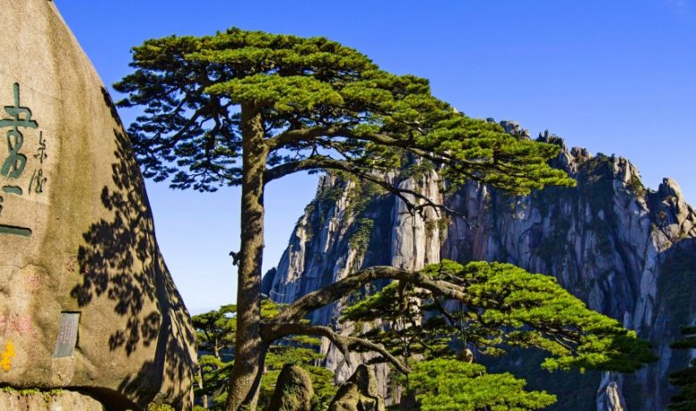 黄山
