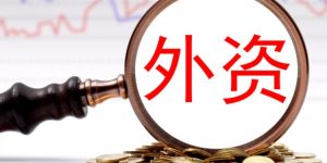 外资机构