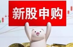 新股