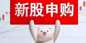 新股