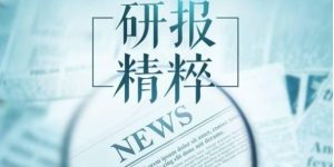 研报